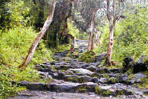 Inca Trail