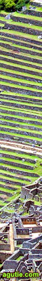 Machu Picchu Agricultural terraces