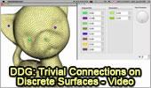 DDG: Trivial Connections on Discrete Surfaces, Video