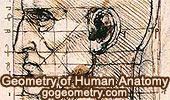 Human Anatomy, Da Vinci drawing