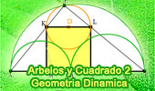 Arbelos de Arquimedes y Cuadrado, Geometria Dinamica