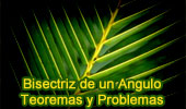 Bisectriz de un Angulo, Teoremas y Problemas. 