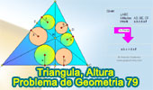 Triangulo, Alturas, Ortocentro, Incentro