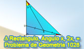 Problema de Geometría 1028 (English ESL): Triangulo Rectángulo, Angulo Doble, Punto Medio y Congruencia