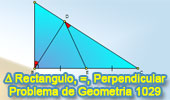 Problema de Geometría 1029 (English ESL): Triangulo Rectángulo, Punto Medio, Angulo, Congruencia, Perpendicular