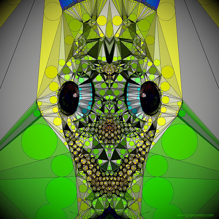 Geometric Art: Kaleidoscope of Gecko Patterns 4 using iPad Apps