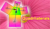 Quadrilateral Index