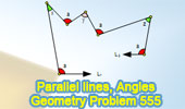  Problem 555: Parallel lines, Angles, Sum.