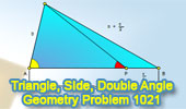 Problema de geometría 1021