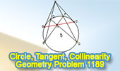 Problema de geometría 1189