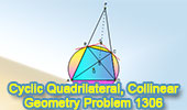 Problema de Geometría 1306