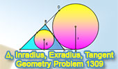 Problema de Geometría 1309