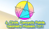 Problema de Geometría 1311