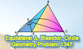 Problema de Geometría 1347