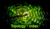 Topology Index