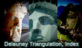 Delaunay Triangulation Index