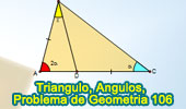 Triangulo, Angulos, Congruencia