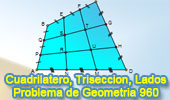 Problema de geometria 960