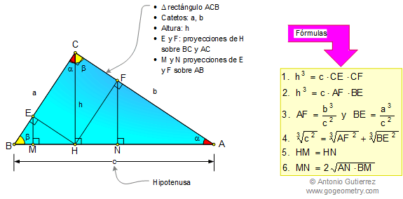 Triángulo rectángulo, Altura, Proyecciones