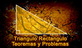 Triangulo Rectangulo, teoremas y problemas