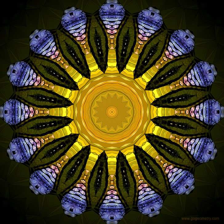 Geometric Art: Kaleidoscope of Gecko Patterns 3 using iPad Apps
