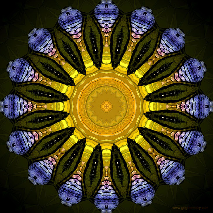 Geometric Art: Kaleidoscope of Gecko Patterns 3 using iPad Apps