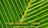 Angle Bisector Index