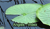 Angle Index