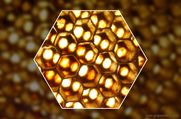 Geometric Art: Hexagon on blurred background of a Honeycomb