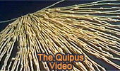 The Quipus Video