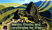 Machu Picchu and LoryStripes
