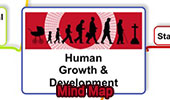 Human Growth and Development Mind Map