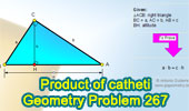 Right triangle, Catheti product