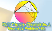 Elearn 493: Right triangle, Circumcircle, Perpendicular