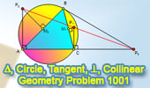 Problema de geometría 1001