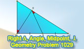 Problema de geometría 1029