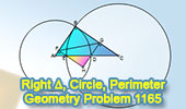 Problema de geometría 1165