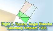 Problema de Geometría English ESL 1203