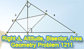 Geometry problem 1211