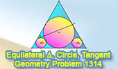 Geometry problem 1314