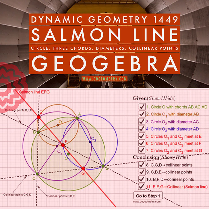 Poster of The Salmon Line Dynamic Geometry. Using iPad