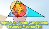 Right Triangle, Altitude, Incircles, CIrcumcircles, COngruence