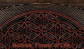 Isolines illustration: the Flower of Life, Hexagonal Pattern, Circles